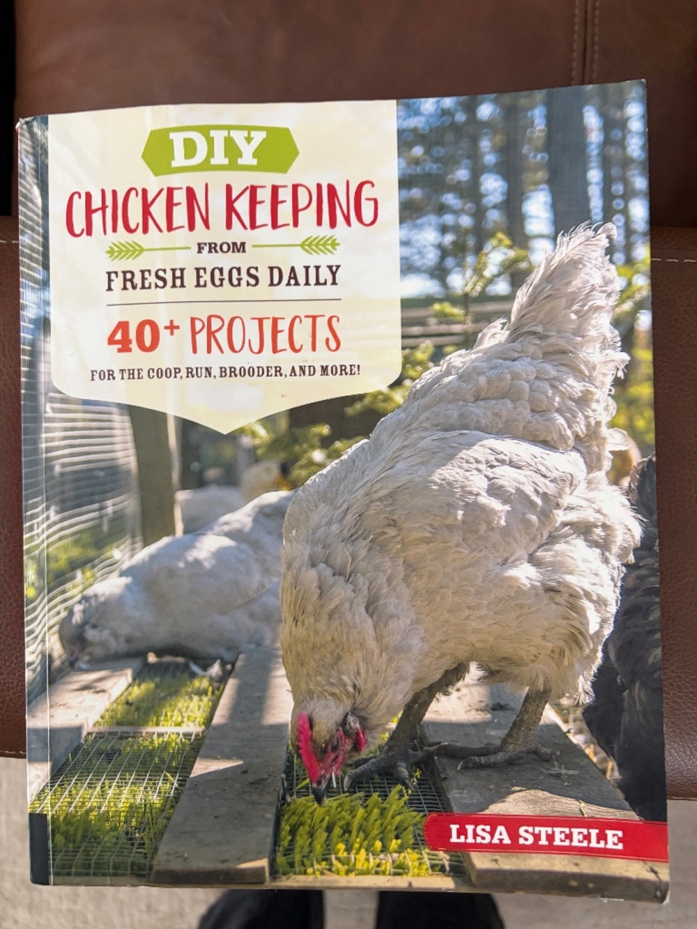 NEW DIY Chicken Keeping by Lisa Steele